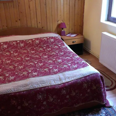 Casa de hóspedes Pensiunea Iulia