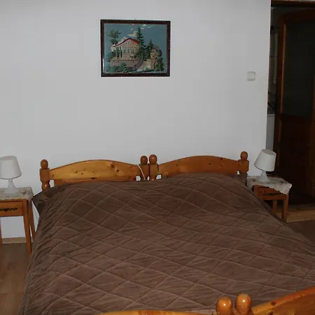 Casa de hóspedes Pensiunea Iulia *