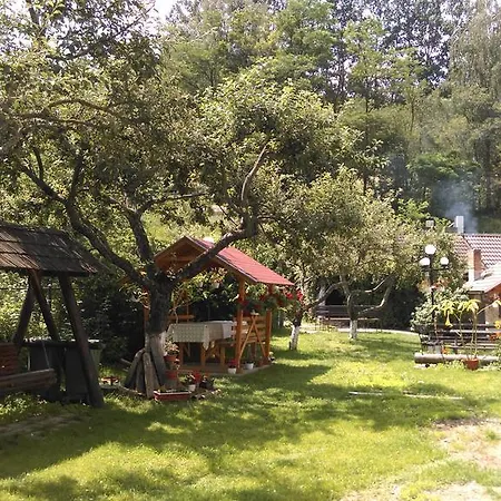 Pensiunea Iulia Bran (Brasov)
