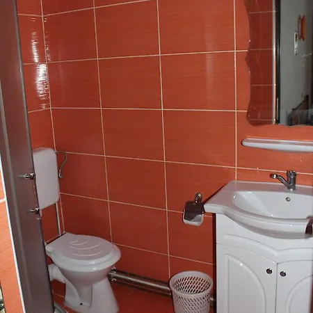 Casa de hóspedes Pensiunea Iulia *