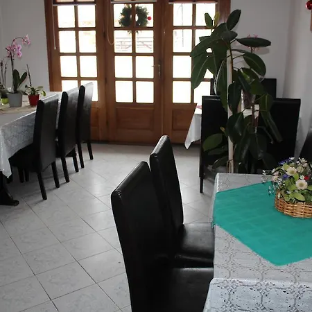 Casa de hóspedes Pensiunea Iulia